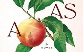 Book cover for Go as a River by Shelley Read.