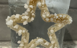 Salt Crystals growing on a star shape.