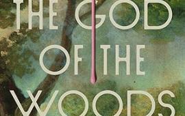 Book cover for The God of the Woods by Liz Moore.