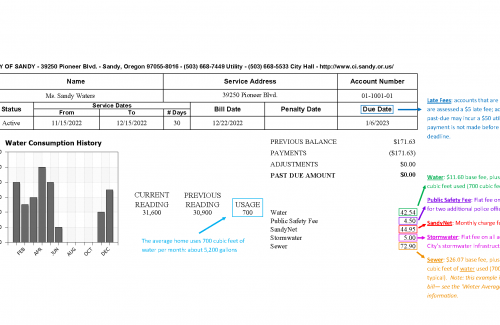 Example bill