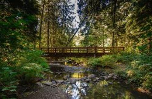 Sandy Bridge in the Forrest