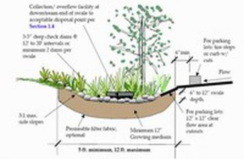 Vegetated Swale Detail