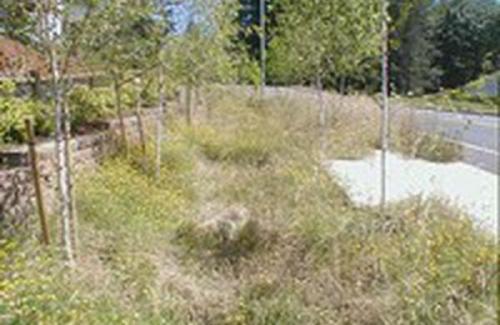 Vegetated Street Swale. Barlow Ridge Subdivision along Dubarko Rd.