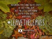 Leave the Leaves