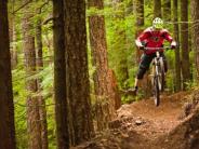 Mountain Biking Down the Trail