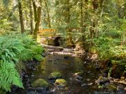 Tickle Creek Trail