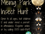 Insect Hunt