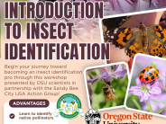 Wasp workshop