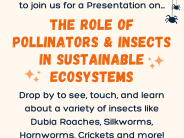 Insect Event