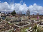 Sandy Community Gardens