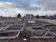 Sandy Community Gardens