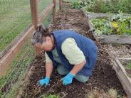 Volunteer Working