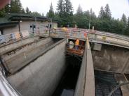 Cutting the Aeration Basin