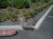 Curb Cut at Fred Meyer Parking Lot Swale