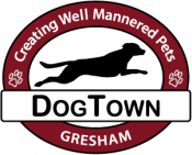 Dog Town