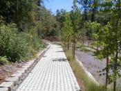 Pervious paver walking path in Hamilton Ridge subdivision. Picture by L. French, 7/14/2005