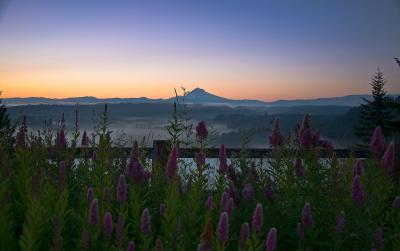 Mt Hood at Sunrise