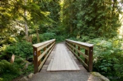 Wooden Bridge in the Woods