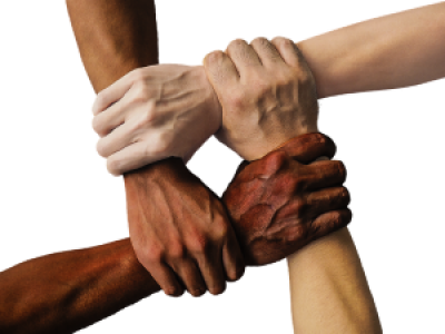 Four hands with different skin tones holding onto each other.