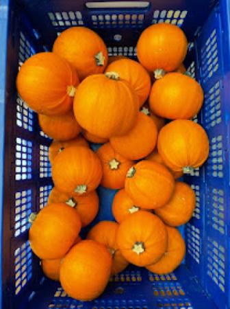 Small pumpkins in a bin