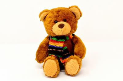 Teddy Bear wearing a scarf.