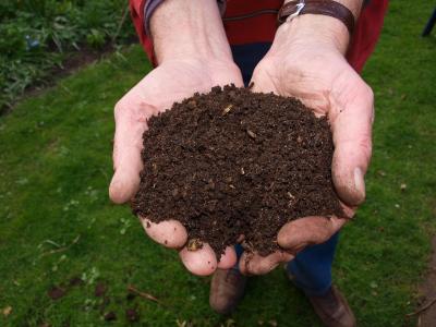 Composted soil in a person's hands.