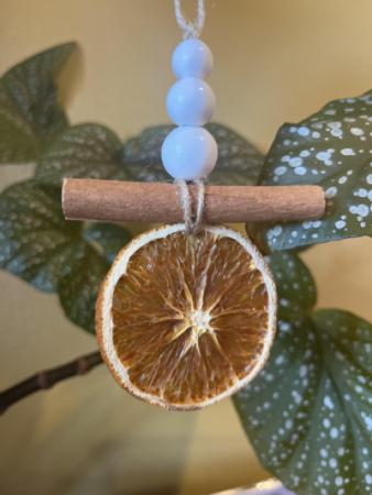 Orange Cinnamon Decoration