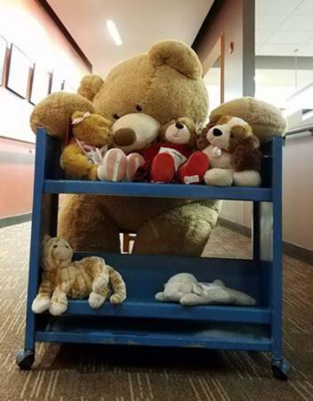 Teddy bears and other stuffies playing on a library shelving cart.