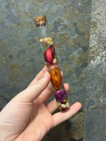 Herbarium