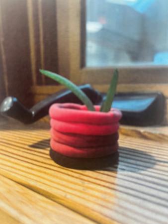 Small clay pot with a plant in it.