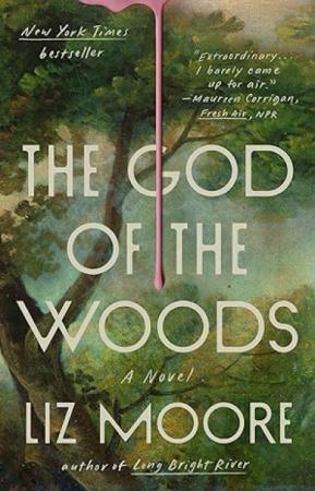 Book cover for The God of the Woods by Liz Moore.