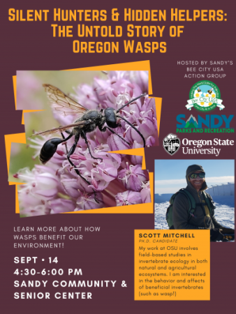 Wasp Poster