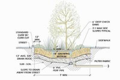 Vegetated Infiltration Basin Detail