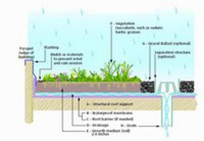 Eco-Roof Detail. From City of Portland 2004 Stormwater Management Manual.