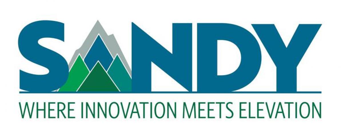 Sandy: Where Innovation Meets Elevation