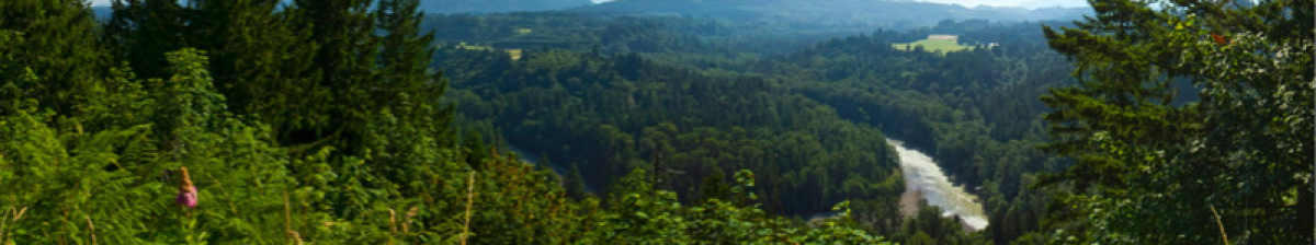 Sandy Mountain Overlook