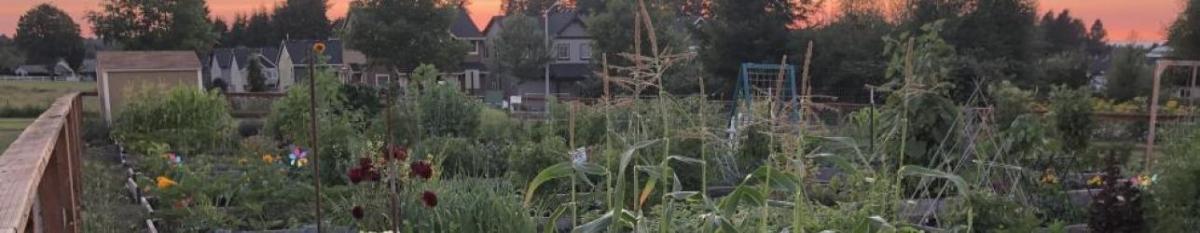 Sandy Community Gardens