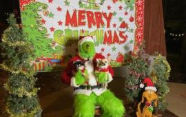 Grinch