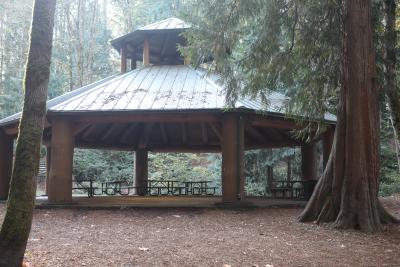 Shelter